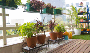 Common Balcony Gardening Mistakes Beginners Make (and Easy Fixes)